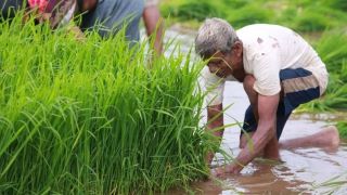 IMD has launched two new AI-based weather forecasting products for monsoon and rain-fed agricultural regions